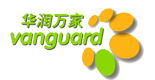 抖音創意視頻方案